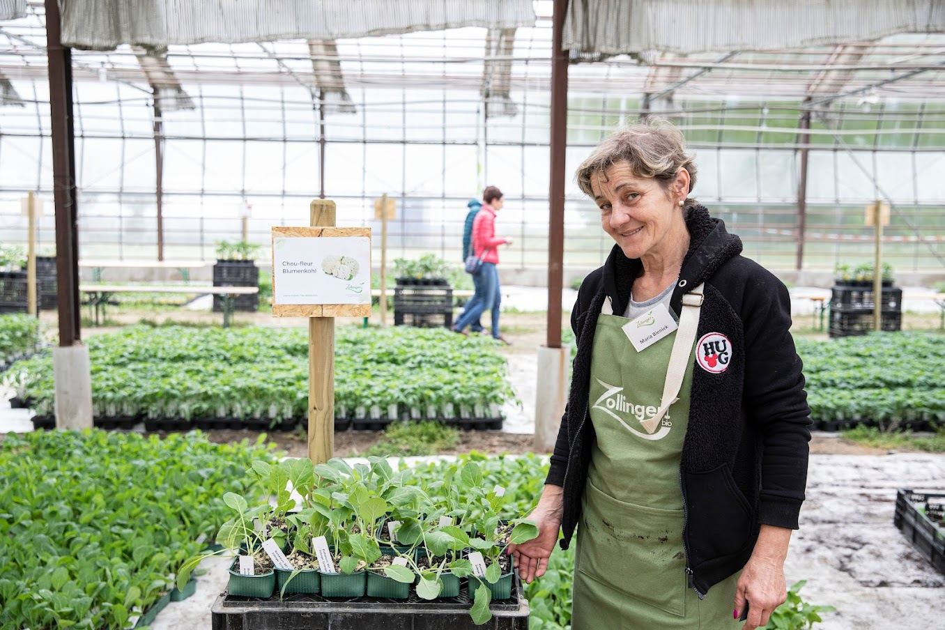 Marché aux plantons Zollinger Bio