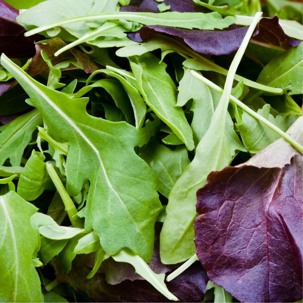 Légumes Asiatiques, Mesclun Picantissimo