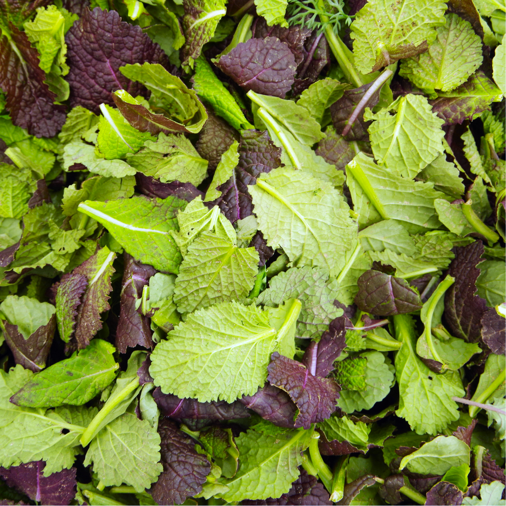 Légumes Asiatiques, Mesclun Picantissimo