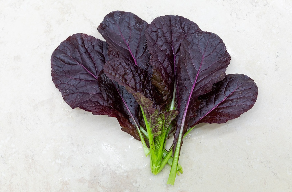 Légume Asiatique, Moutarde 'Géant Rouge'