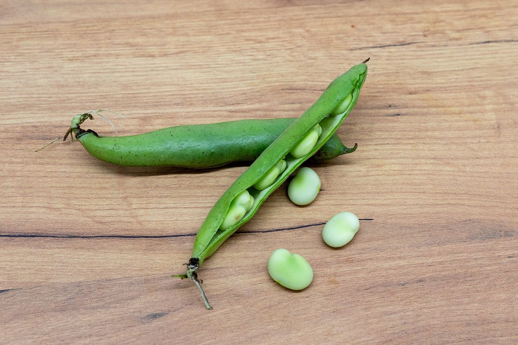 Fava, Eleonora