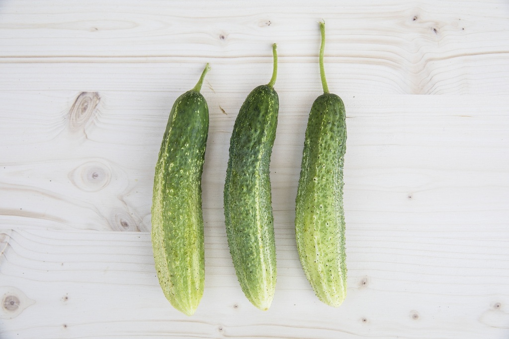 Cornichon, de Bourbonne