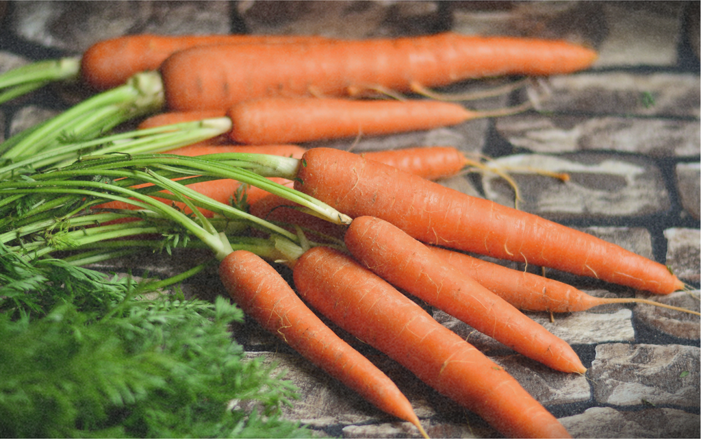 Carrot, Berlicumer Selektion Z 