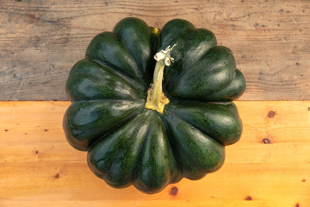 Courge Musquée, Musquée de Provence