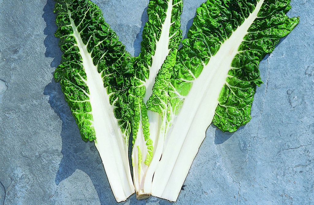 Swiss chard, Geneva