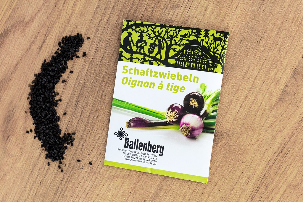 Schaftzwiebel, Roter Schaft (Ballenberg-Edition)