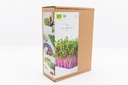 Microgreens, Starter-Set (Heimgart)