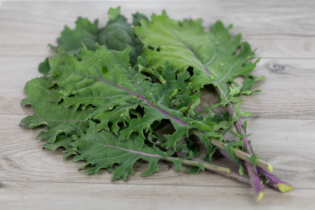 Kale cabbage, Red Russian