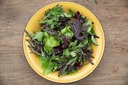 Laitue à Tondre, Mesclun Zollinger