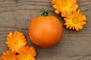 Tomato, Frog king's golden ball